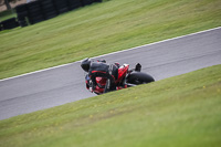 Red Bikes